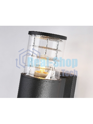 Светильник Ambrella light ST2525/2 BK/CL черный/прозрачный IP54 E27/2 max 40W 305*110*155