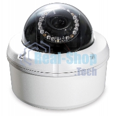 Камера D-Link DCS-6510 IP Day & Night Vandal-Proof Fixed Dome