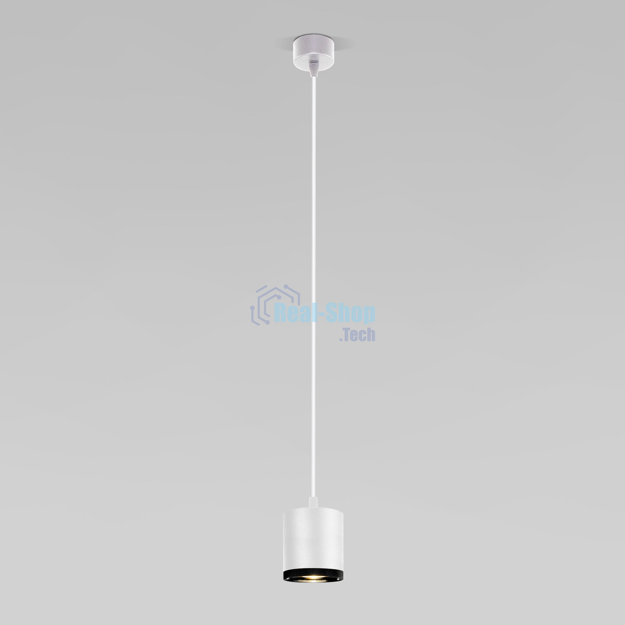 Светильник подвесной светодиодный 50243 LED 12W 4200K белый