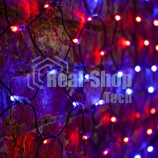 Гирлянда Neon-night Сеть 