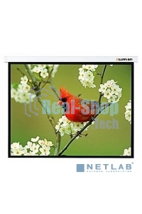 Экран Lumien 141x210 см Master Picture LMP-100133 16:10 настенно-потолочный рулонный