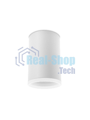 Светильник Ambrella light TN336 SWH белый песок GU5.3 D65*100