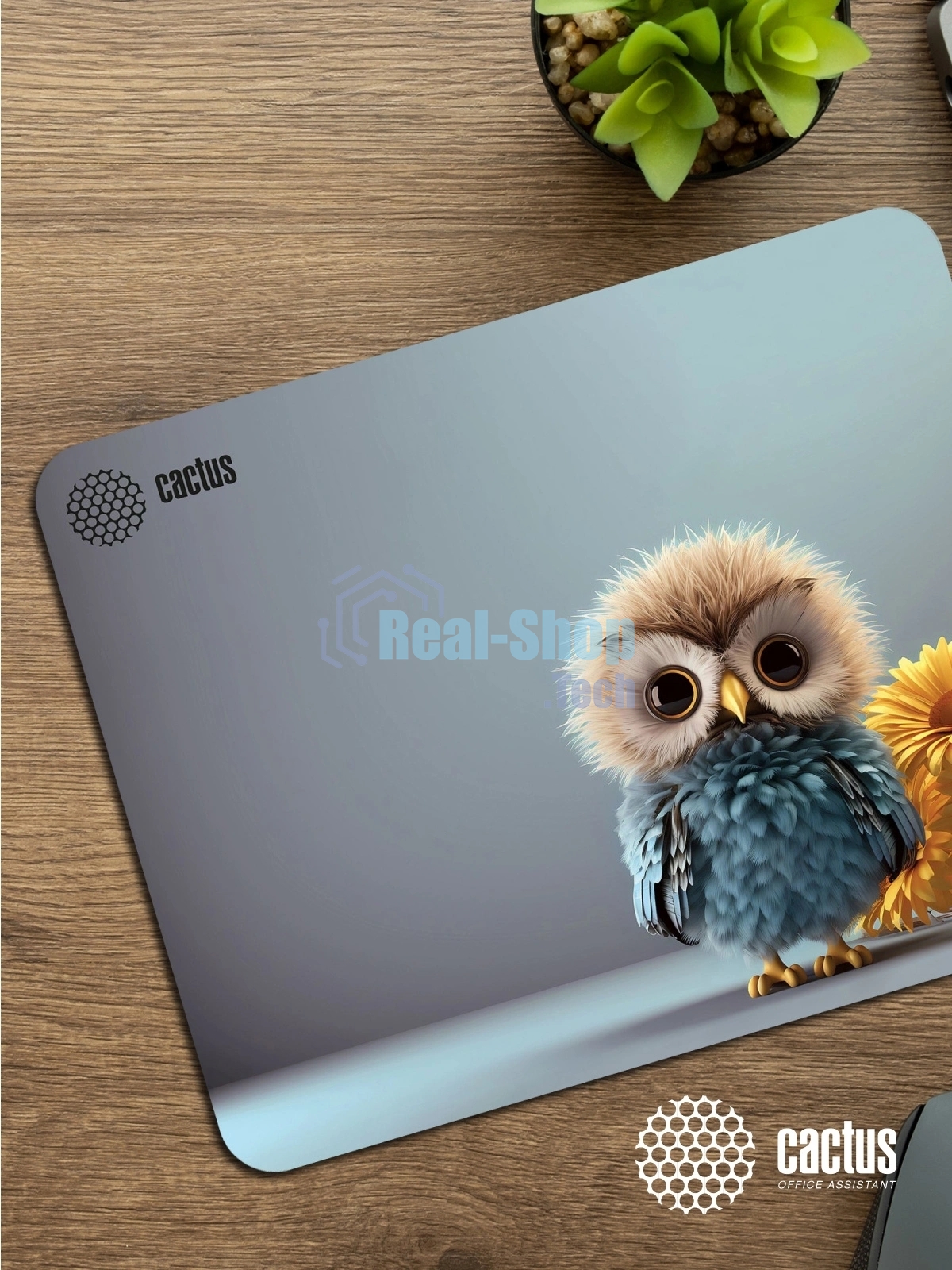 Коврик для мыши Cactus Owl gray рисунок 300x50x3мм (CS-MPC-D12M)