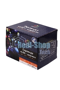 Гирлянда Neon-night 