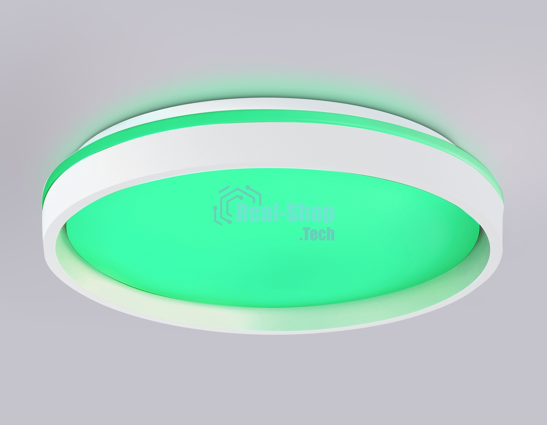 Светодиодный светильник RGB Ambrella light FZ607 WH/GD белый/золото IP20 66W 3000K-6500K+RGB D490*85 (ПДУ ИК)