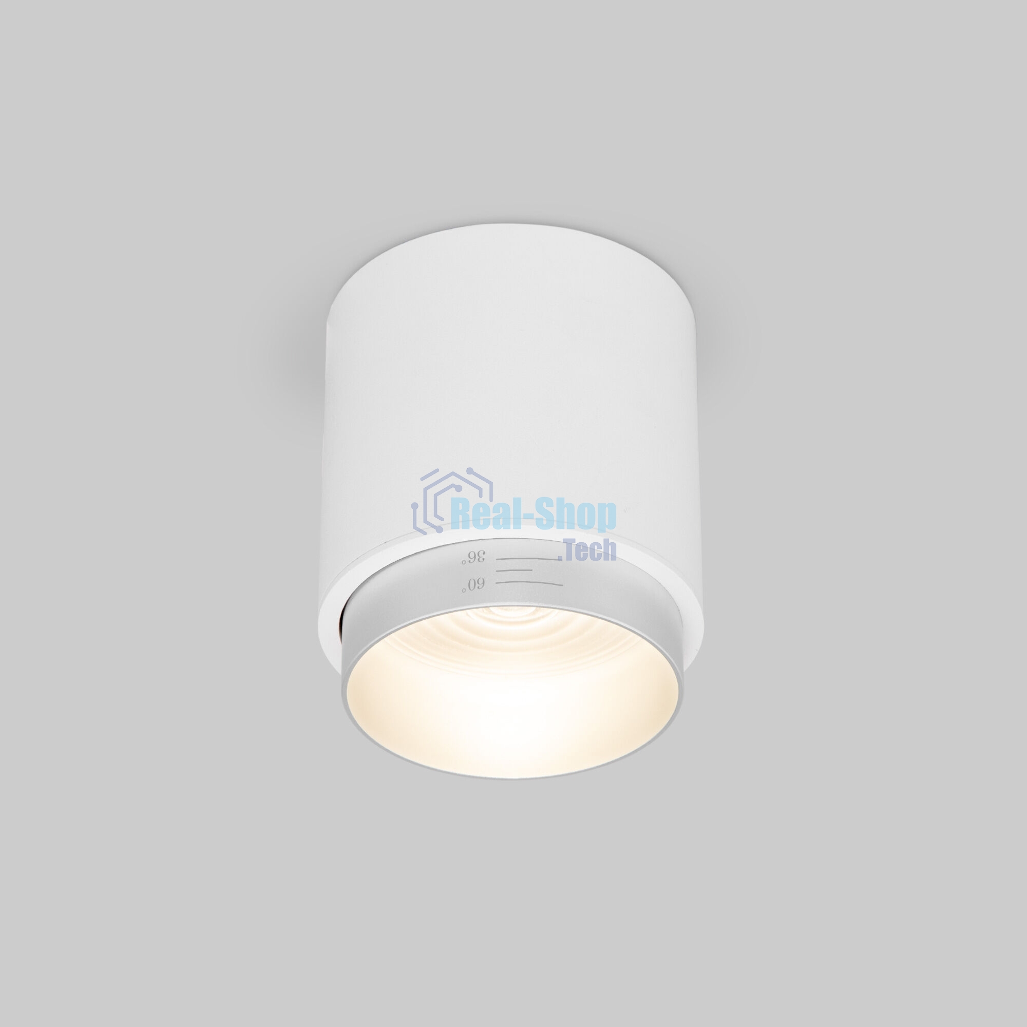 Светильник потолочный светодиодный Cors 10W (25032/LED) белый/серебро