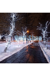 Гирлянда Neon-night LED Клип-лайт 12 V, прозрачный ПВХ, 150 мм, цвет диодов белый