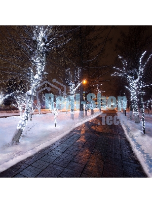 Гирлянда Neon-night LED Клип-лайт 12 V, прозрачный ПВХ, 150 мм, цвет диодов белый