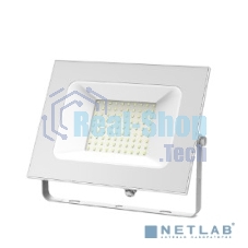 Прожектор светодиодный GAUSS 613120300 Gauss Elementary 100W 6600lm IP65 6500К белый