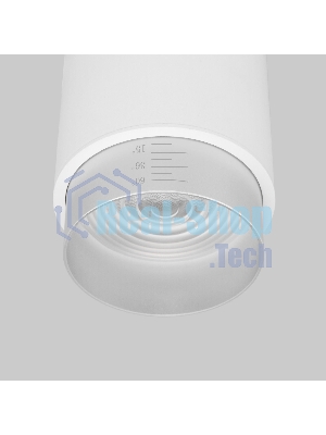 Светильник потолочный светодиодный Cors 10W (25032/LED) белый/серебро