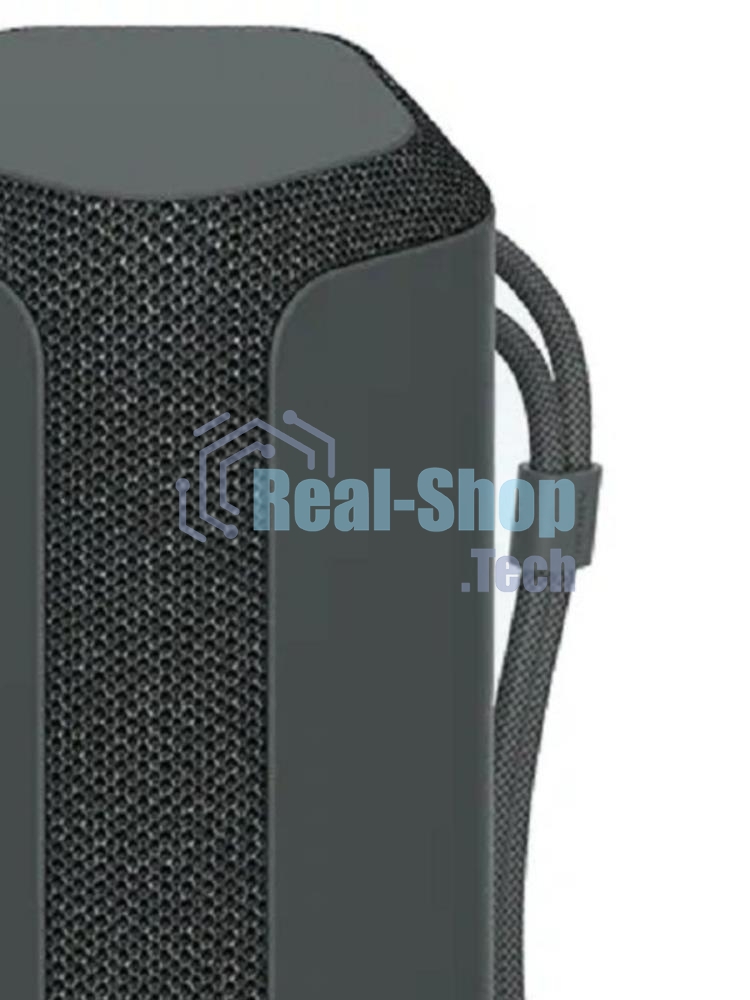 Беспроводная колонка Sony SRS-XE300, черный