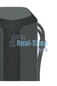 Беспроводная колонка Sony SRS-XE300, черный