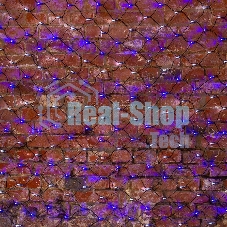 Гирлянда Neon-night Сеть 