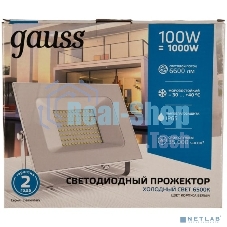 Прожектор светодиодный GAUSS 613120300 Gauss Elementary 100W 6600lm IP65 6500К белый