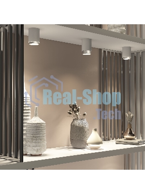 Светильник потолочный светодиодный Cors 10W (25032/LED) белый/серебро