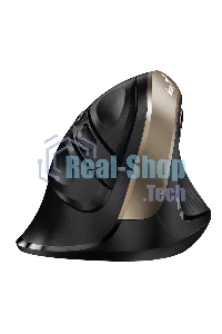 Мышь беспроводная Genius Ergo 8250S черный, 1600 dpi, радиоканал, USB, кнопки - 6