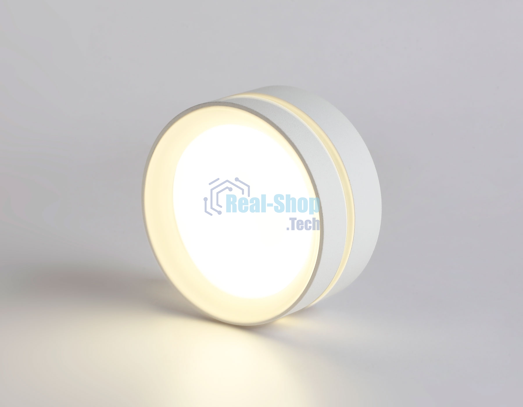 Светильник Ambrella light TN5388 SWH/FR белый песок/белый матовый GX53 IP44 D85*41