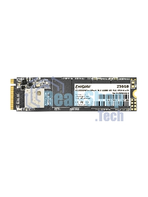 Накопитель SSD ExeGate NextPro+ KC2000TP256, 256Gb, M.2 2280, PCIe 3.0 x4, NVMe, R/W 1500/900
