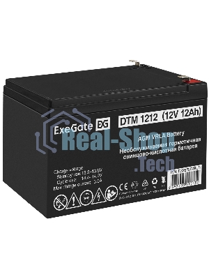 Батарея для ИБП ExeGate DTM 1212 (12V 12Ah 1251W), клеммы F2