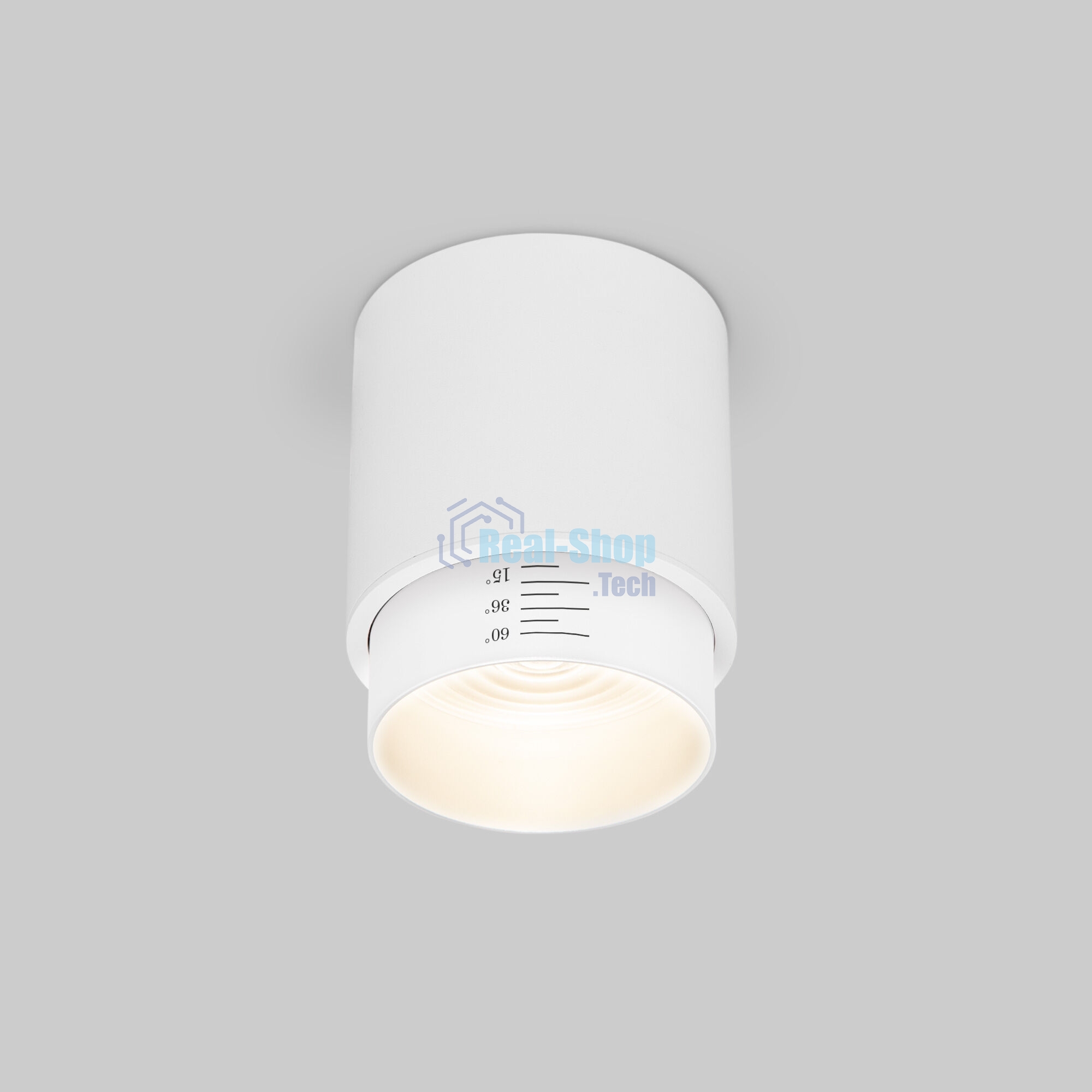 Светильник потолочный светодиодный Cors 10W (25032/LED) белый