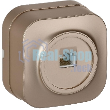 Розетка для открытой установки компьютерная RJ45 кат.5E РК10-ХШм шампань матовый GLORY