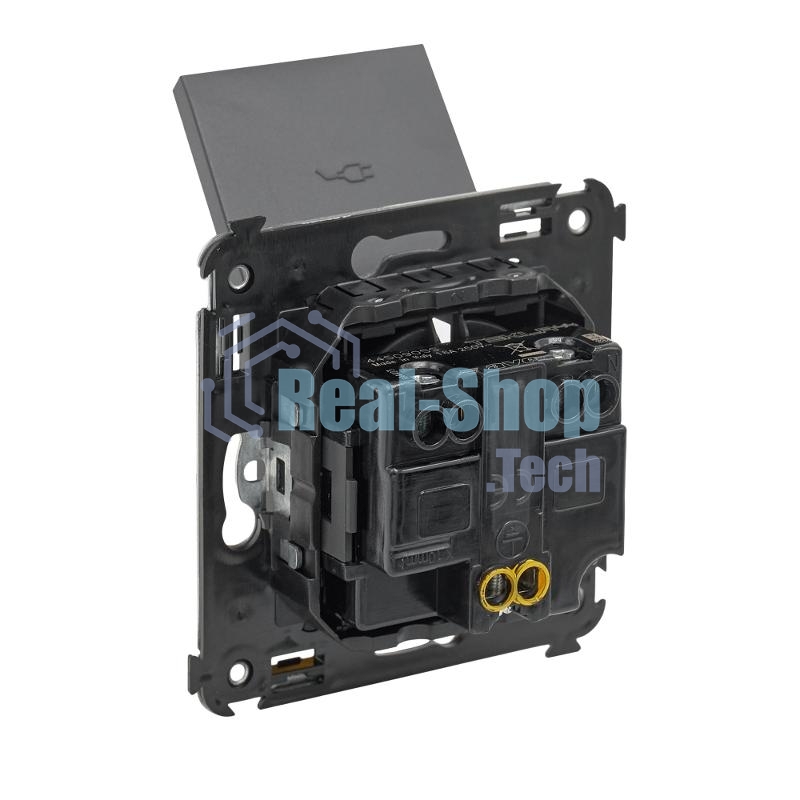Розетка DKC Avanti 4412013 с крышкой 2P+E со шторками, 