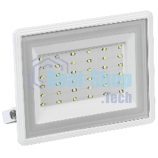 Прожектор светодиодный Iek LPDO601-50-65-K01 06-50 белый IP65 6500 K IEK