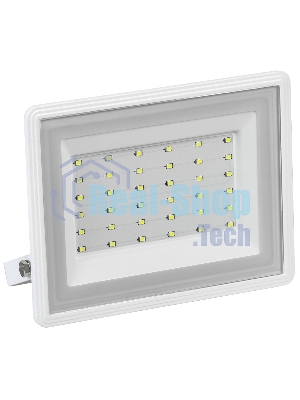 Прожектор светодиодный Iek LPDO601-50-65-K01 06-50 белый IP65 6500 K IEK