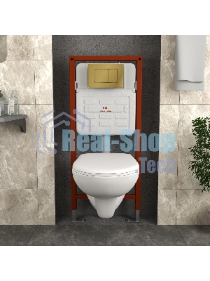 Комплект BAU 6 в 1: инсталляция BAU PRO для подвесного унитаза, унитаз подвесной безободковый Bau Novo, быстросъемное сиденье микролифт, клавиша BAU Light, нерж. сталь золото