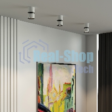 25049/LED 12W 4000К белый/чёрный / Светильник потолочный светодиодный