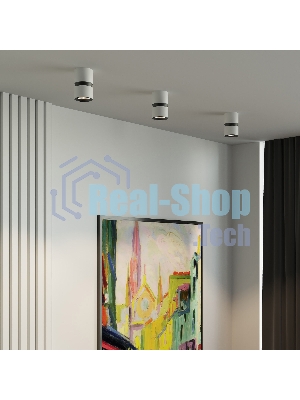 25049/LED 12W 4000К белый/чёрный / Светильник потолочный светодиодный