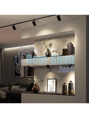 Светильник потолочный светодиодный Cors 10W (25032/LED) чёрный