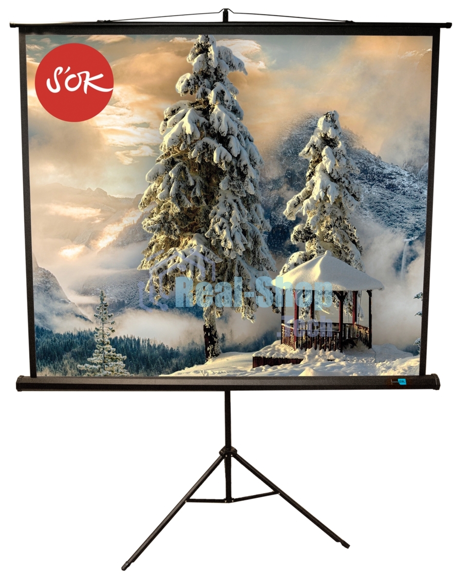 Экран 150x150 см TriScreen 1:1 напольный рулонный белый84' Matt White (MW), черный корпус