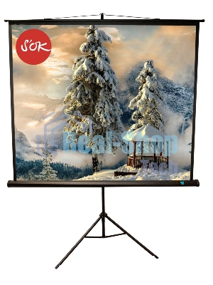 Экран 150x150 см TriScreen 1:1 напольный рулонный белый84' Matt White (MW), черный корпус