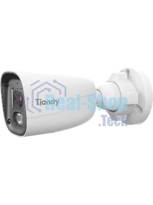 Камера видеонаблюдения IP Tiandy TC-C344S 2ETA-28 2.8-2.8мм цв.