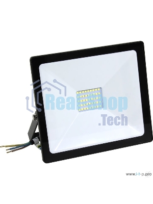 Светодиодный (LED) прожектор FL SMD Smartbuy-30W/6500K/IP65 (SBL-FLSMD-30-65K)