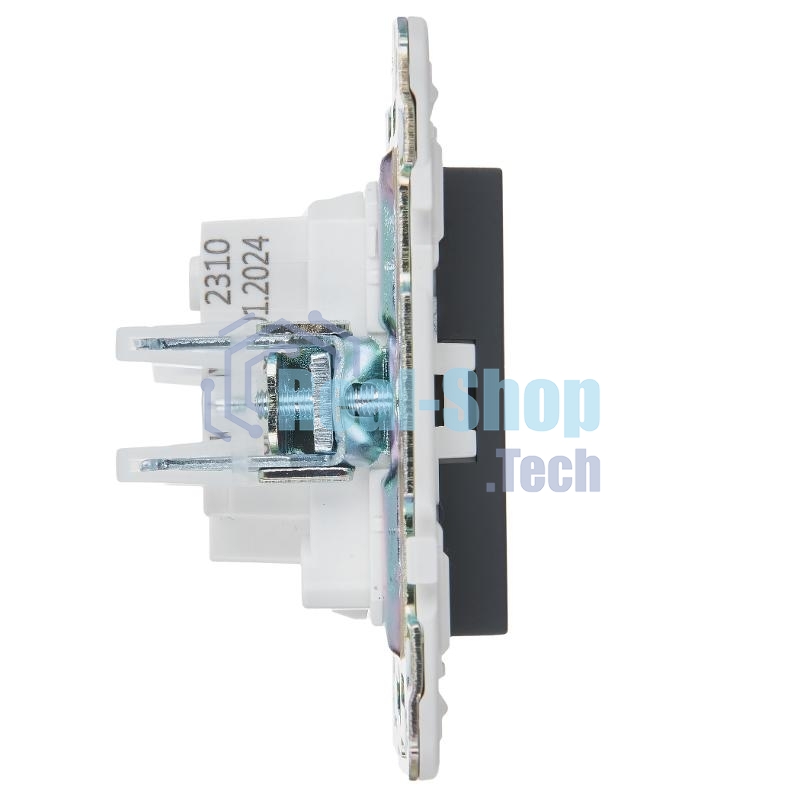 Розетка IEK SKANDY SK-R02G 10А графит без заземл. без защ. шторок SK-R10-10-K53