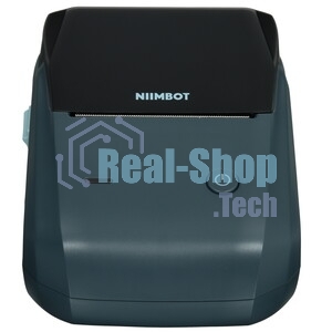 Термопринтер Niimbot B1 (1746795) 203dpi 50мм/с/USB/BT для печ.этик. серый