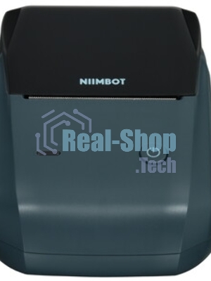 Термопринтер Niimbot B1 (1746795) 203dpi 50мм/с/USB/BT для печ.этик. серый