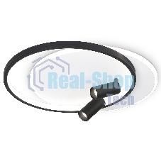 Светильник Ambrella light FL5137/2+2 WH/BK белый/черный 66W 3000K/4200K/6400K+4200K 500*420*130 (ПДУ ИК)