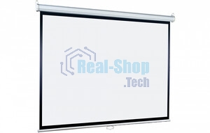 Экран Lumien 214x214см Eco Picture LEP-100110 1:1 настенно-потолочный рулонный