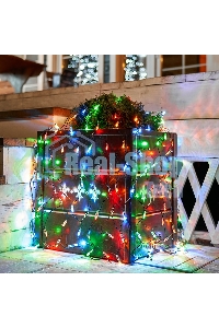 Гирлянда Neon-night Сеть 