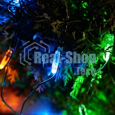 Гирлянда Neon-night Сеть 