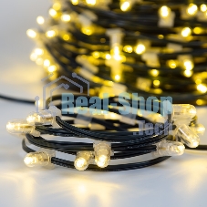 Гирлянда Neon-night LED Clip Light 12V шаг 150 мм, цвет диодов теплый белый, Flashing (белый)