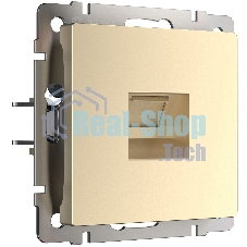 Розетка Ethernet RJ-45 (шампань)