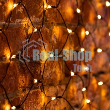 Гирлянда Neon-night 