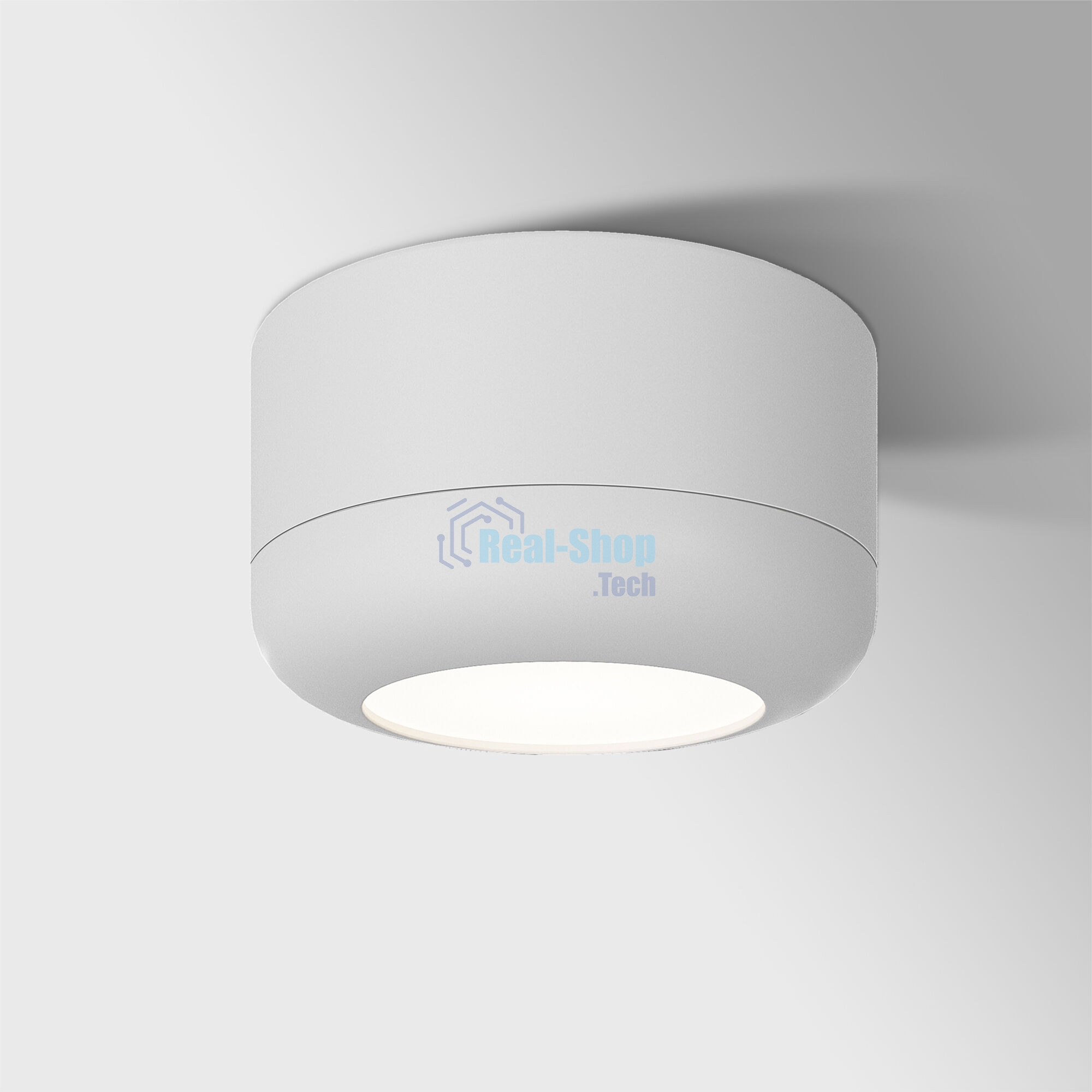 25046/LED 15W 4000K белый / Светильник потолочный светодиодный