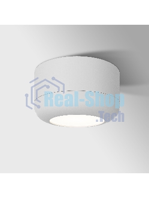 25046/LED 15W 4000K белый / Светильник потолочный светодиодный