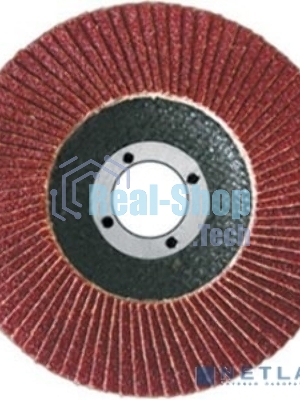 Диск наждачный FIT IT лепестковый, 125 мм, Р60 39553