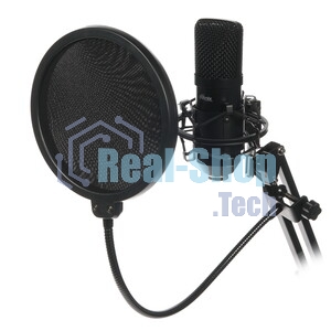 Микрофон Ritmix RDM-169 черный